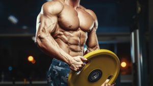 What Are The Best Steroids To Support Your Goals?